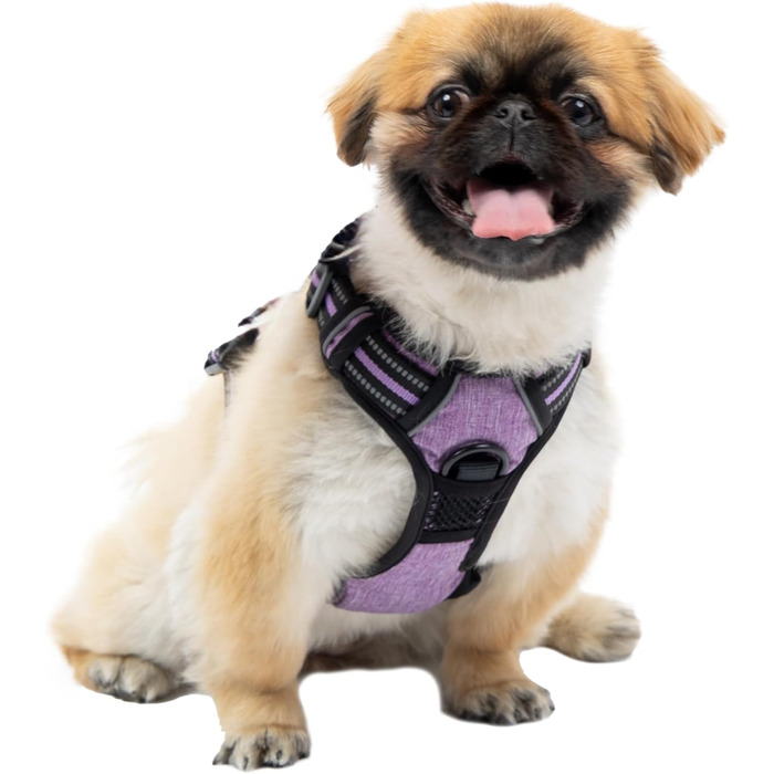 Шлейка для собак середніх порід Ferplast, 2 карабіни для контролю, шлейка від тяги, регульована, світловідбиваюча та дихаюча, ідеальна для тренувань, M, Бежевий (Purple, SMALL)