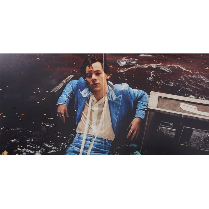 Harry Styles - Вінілова платівка [LP] - Оригінальний альбом