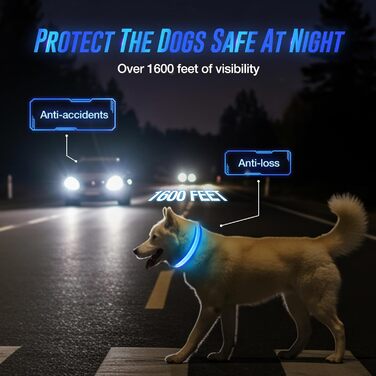 Світлодіодне нашийник для собак Jewyow 7-в-1, багатоквітний, USB-C, водонепроникний, для малих, середніх та великих собак - Синій, M