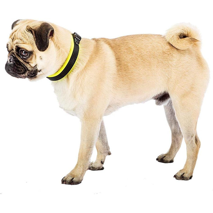 Нашийник для собак Ferplast ERGOFLUO C15/42 з підкладкою та мікрорегулюванням, зелений