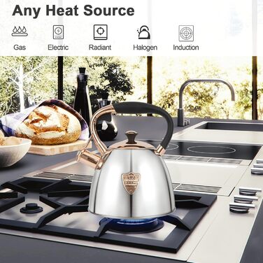 Чайник-свисток з нержавіючої сталі, 2.8 л, срібний, Silber-go