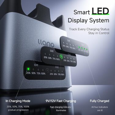 Зарядний пристрій для акумуляторів Canon LP-E6P/LP-E6NH: Dual-Slot, USB-C, LED-дисплей, сумісний з EOS R5/R6/R7 Mark II, 5D/6D/7D Mark II/III/IV, 60D/70D/80D/90D