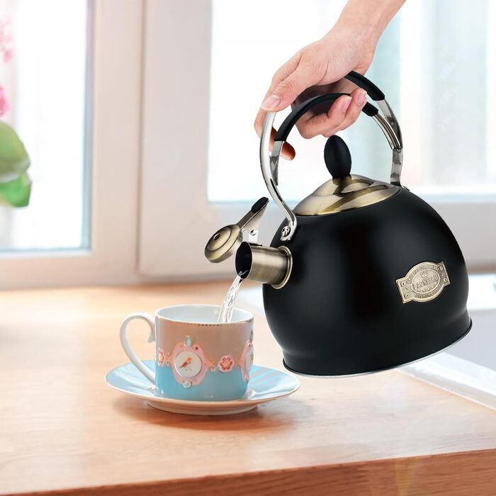 Півлітровий чайник-свисток з нержавіючої сталі з термостійкою ручкою, підходить для всіх типів плит, включаючи індукційну, чорний