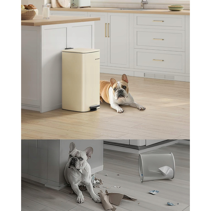 Сміттєвий кошик Songmics, 30 л, бежевий