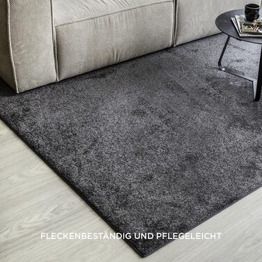 Килим для вітальні та спальні Maine Studio, 140x200 см, короткий ворс, антрацит