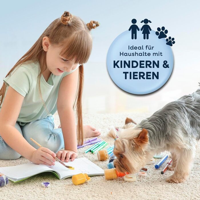 CLEANmaxx Професійний пароочисник для меблів та килимів Pro Steam | 3в1: для меблів, локальних забруднень, миття | Видаляє плями з килимів, авто, диванів тощо (Чорний, компактний 330W)