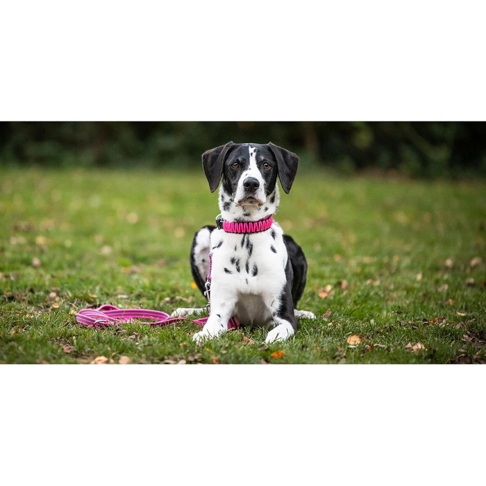 Нашийник для собак Sprenger з паракорду, нержавіюча сталь, світловідбиваючий, жовтий (55 см)