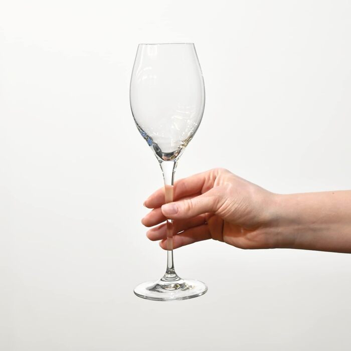 Кроснo Champagnergläser Prosecco-Gläser | Набір 6 | 280 мл | Колекція Harmony | Сектарі, шампань | Ідеально для дому, ресторанів та свят | Можна мити в посудомийній машині Prosecco 280 мл (6 шт.)