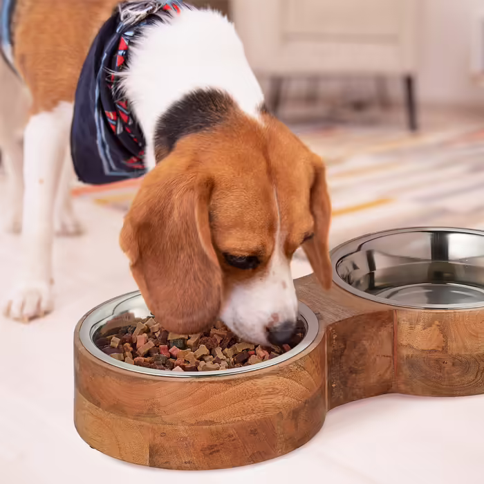 Relaxdays Dog Bowl with 2 Bowl Bowls
