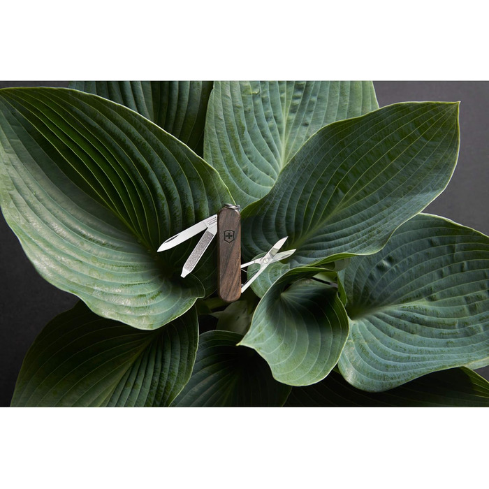 Мультитул Victorinox Classic SD Wood – Швейцарський армійський ніж, 5 функцій, з дерев'яною ручкою