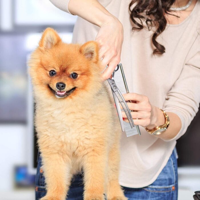 Ножиці для грумінгу собак та котів PURPLEBIRD 7.0 дюймів, вигнуті, з японської сталі 440C, ручна робота