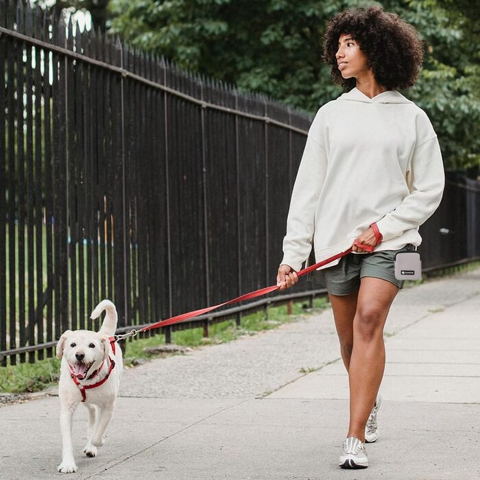 Сумка для ласощів для собак COOWONE з кликером для дресирування, водонепроникна, з карабіном, для прогулянок, утримувач для пакетів для вигулу собак, чорна та сіра