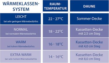Böhmerwald Comfort Down Comforter, suitable for allergy sufferers, 90% down / 10% feathers, fill weight: 4 X 6 boxes and 4cm inner stitching; 900 gr., warmth class: warm, white, OEKO-TEX STANDARD 100, size: 135 x 200 cm Warmth class warm 135 x 200 cm