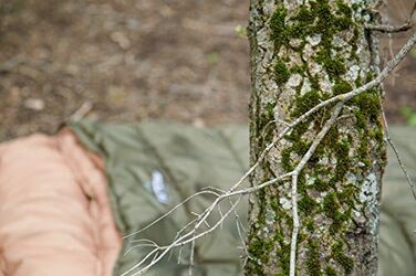Сплячий мішок TETON Sports Celsius XXL; Великий, для сімейного кемпінгу; Безкоштовний компресійний мішок, чорний (зелений)