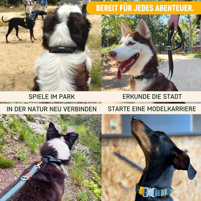 Нашийник для собак Nomadog Trailblazer XL - міцний тактичний нашийник з ручкою, алюміній, для великих собак