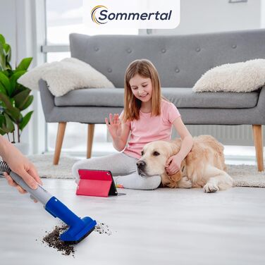 Многофункціональний пилосос MultiCleaner WS450 5-в-1 для килимів, меблів, авто та тварин. Потужний 450W, з аксесуарами та самоочищенням