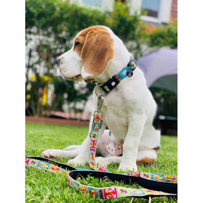 Нашийник для собак Max & Molly Gotcha! з Smart ID, водонепроникний, зручний, з коміксами, ширина 2.5 см