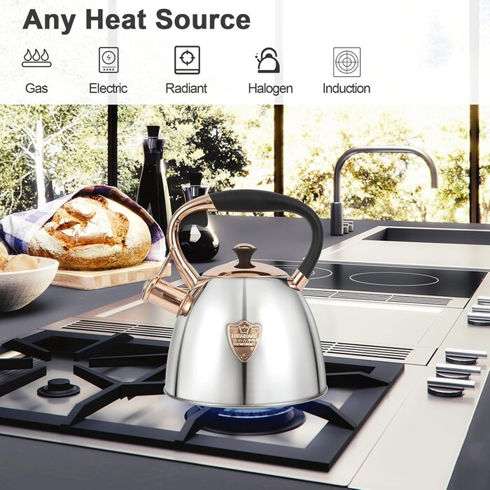 Чайник-свисток з нержавіючої сталі, 2.8 л, срібний, Silber-go