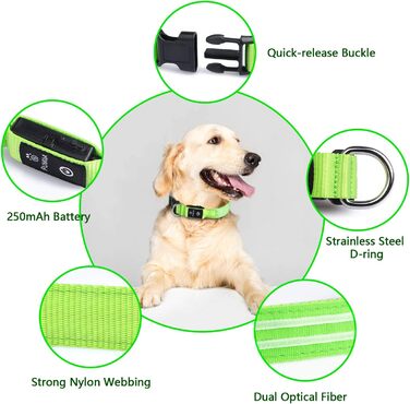 Світлодіодна нашийникова стрічка для собак, акумуляторна, 3 режими світіння, водонепроникна, зелена, L (48-60 см)