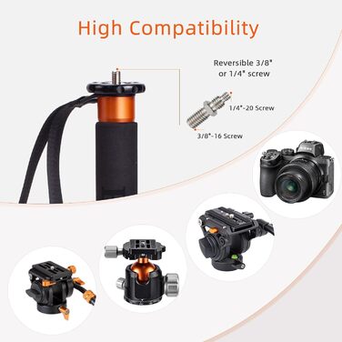 Монопод Refoni C304F з карбону, 173 см: монопод для камери, штатив-монопод для DSLR та відеокамер, 25 кг