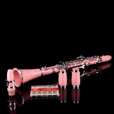 Професійна кларнет Glory GLY-CLAGN з ебоніту, Bb, з аксесуарами (10 вставок, стійка, кейс, серветка, щітки), зелений (рожево-сріблястий)