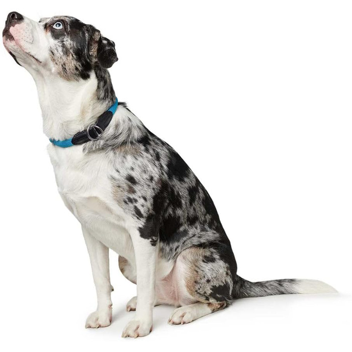 Нашийник для дрессури HUNTER FREESTYLE, червоний, розмір M. Міцний, з нейлоновим тросом, стійкий до погодних умов, для тренувань та повсякденного використання.