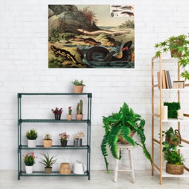 Relaxdays 2-Tier Plant Shelf Set with 4 Shelves