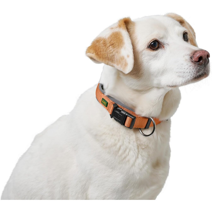 Нашийник для собак HUNTER Neopren Vario Plus, нейлон, неопрен, регульований, з поглинанням ударів, комфортний, розмір L/2,5