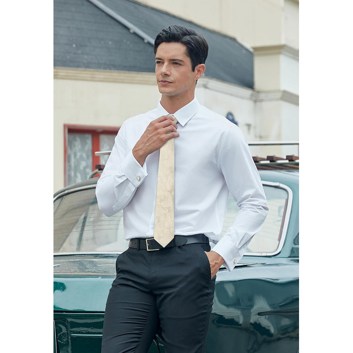 Краватка та нагрудна хустинка Enlision для весілля: шовковий комплект Paisley з латунними застібками для манжетів, бежевий/шампань