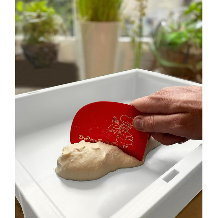 Pizza Ball Box Proofing Box for Pizza Dough Sourdough Yeast Dough Food Grade 30x40x8 cm (1 Box with 1 Lid) white