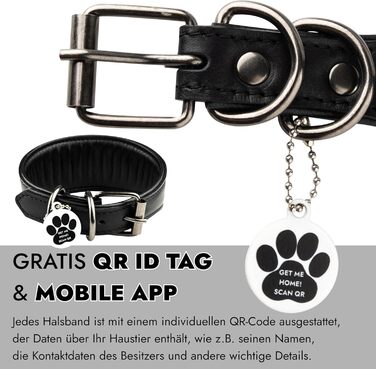 Стильне шкіряне нашийник для породистих собак (Вінтерхаунд, Віпет, Салукі) з QR-кодом, розмір M