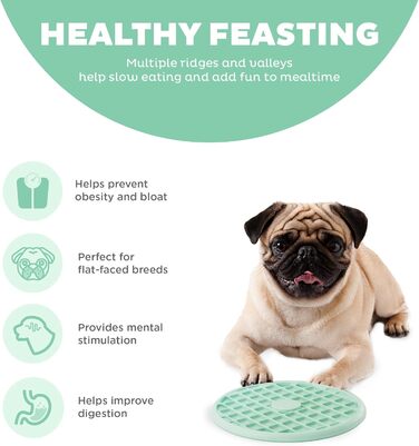 Миска для собак Outward Hound Fun Feeder Slo Tray L, зелена м'ятна - уповільнює годування, запобігає зригуванню, не ковзає