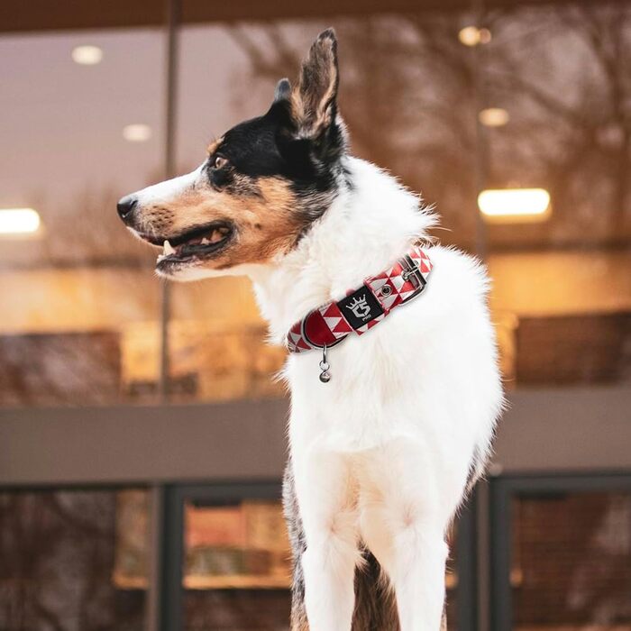 Тактичне нашийник для собак TSPRO, міцний, з металевою застібкою, 3,8 см, регульований, для середніх та великих собак (розмір M, 40-48 см)