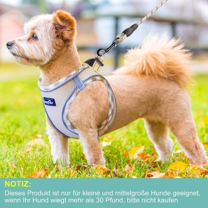Нашийник та поводок для собак Haapaw, антинатяг, регульований, світловідбиваючий, Step-in, для цуценят та маленьких собак, посилена підкладка, колір Бежевий, розмір M (38.1-45.7 см, 4.5-6.8 кг)