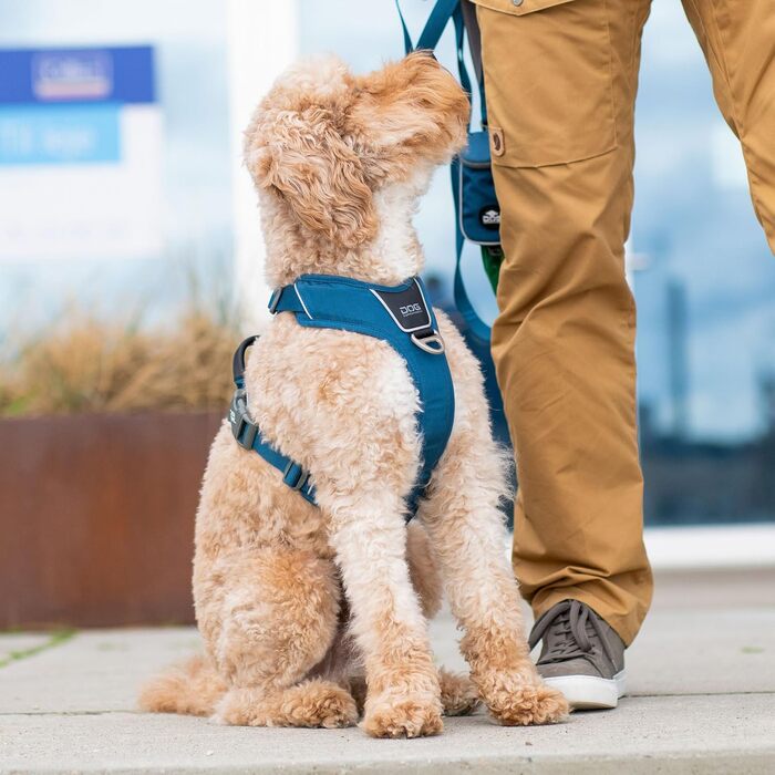 Шлейка для собак DOG Copenhagen Cofort Walk Pro, розмір XL, колір Desert Dune