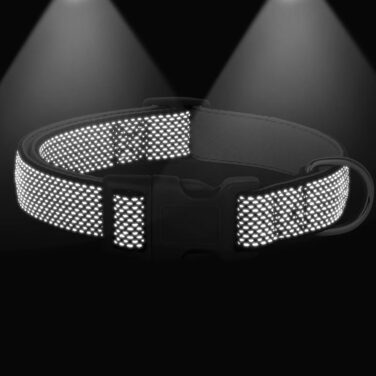 Світловідбиваючий нашийник для собак Didog з пряжкою, регульований, м'який неопрен, з підкладкою, нейлон, для малих, середніх та великих собак, зелений, L (обхват шиї 33-56 см)