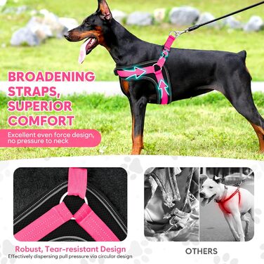 Світловідбиваючий жилет для собак BiPawTi середнього розміру, перезаряджається, жилет для собак зі світлодіодами, 3 режими світіння - світиться в темряві, шлейка для собак, для прогулянок, зелене світло (рожеве/червоне), XL