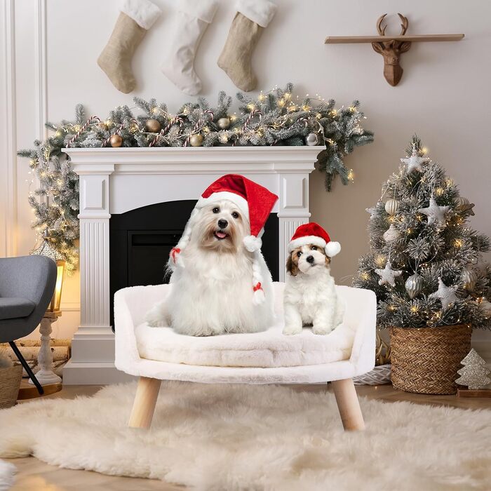 Luxury Cat Sofa, Large Cat Sofa, Cat Chair, Cat Stool, Elevated Cat Bed with Cat Cushions, Pet Sofa, Dog Sofa for Small Dogs, 40cm beige (L 62 x W 62 x H 33 cm)
