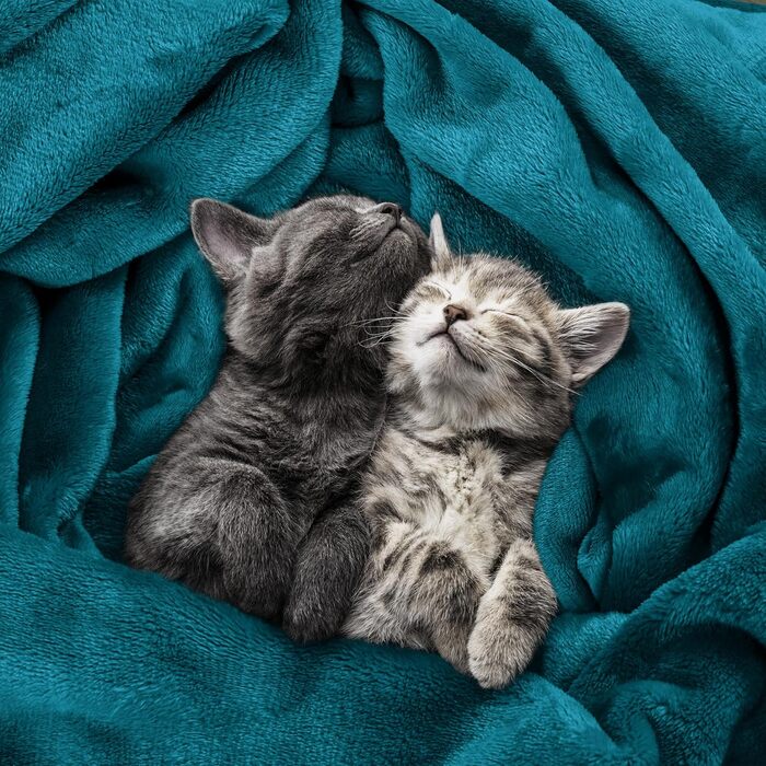 Плед Utopia Bedding: м'який флісовий плед, теплий зимовий плед для ліжка, дивана та крісла (Турквіс, 200x150 см)