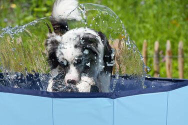 maxxpro Dog Pool - 160 x 30 cm - Suitable for Large Dog Breeds - Foldable - Non-Slip Bottom - with Drain Valve - Blue