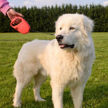 Рулетка для собак Ferplast Flippy ONE, чорна, до 25 кг, 5 м