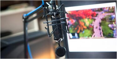 Мікрофон Blue Blackout Spark SL XLR з підставкою, конденсаторний, для запису, стрімінгу, подкастів, YouTube - чорний