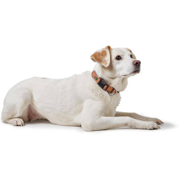 Нашийник для собак HUNTER Neopren Vario Plus, нейлон, неопрен, регульований, з поглинанням ударів, комфортний, розмір L/2,5