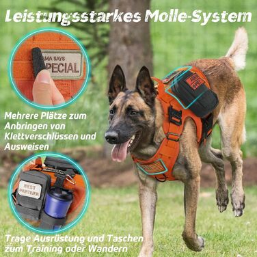 Нагрудник для собак Rabbitgoo великих порід, без натягу, тактичний з MOLLE, металеві пряжки, дихаючий, військовий, регульований, з підкладкою, L (1 шт), помаранчевий