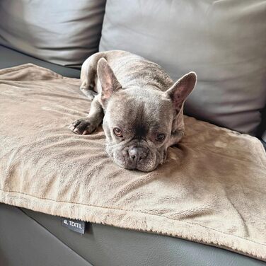 М'яка підстилка для собак та котів 60x40 см, бежева - 4L Textil