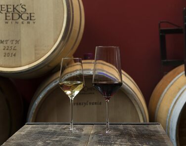 Schott Zwiesel Pure Wine Glass Set, Clear, 6-Piece