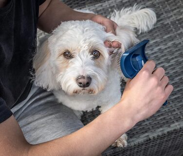 Щітка Mikki Slicker для вирівнювання шерсті собак та цуценят, для пуделів та їх схрещень (Cockapoo, Labradoodle, Cavapoo, Maltipoo, Golden Doodle)