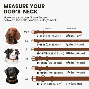Нашийник для собак BRONZEDOG з шкіри, з QR-ідентифікатором, регульований, м'який, для малих, середніх та великих собак, цуценят, котів (коньячний, 28-36 см)