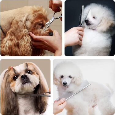 Набір професійних ножиць для грумінгу собак та котів: титанові ножиці, розріджувач, прямі ножиці з гребенем (чорний) (Рожевий)