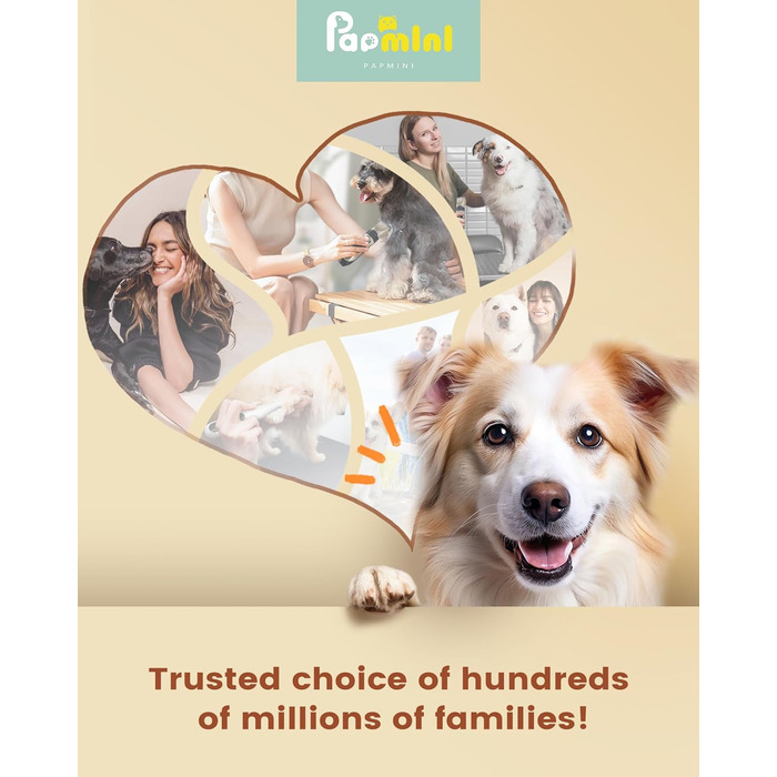 Машинка для стрижки собак 2 в 1 з тримером для лап, тиха, з LED-підсвічуванням, професійна, Type-C, для малих та великих собак і котів